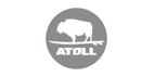 Atoll Board