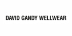 David Gandy Wellwear