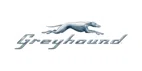 Greyhound