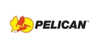 Pelican